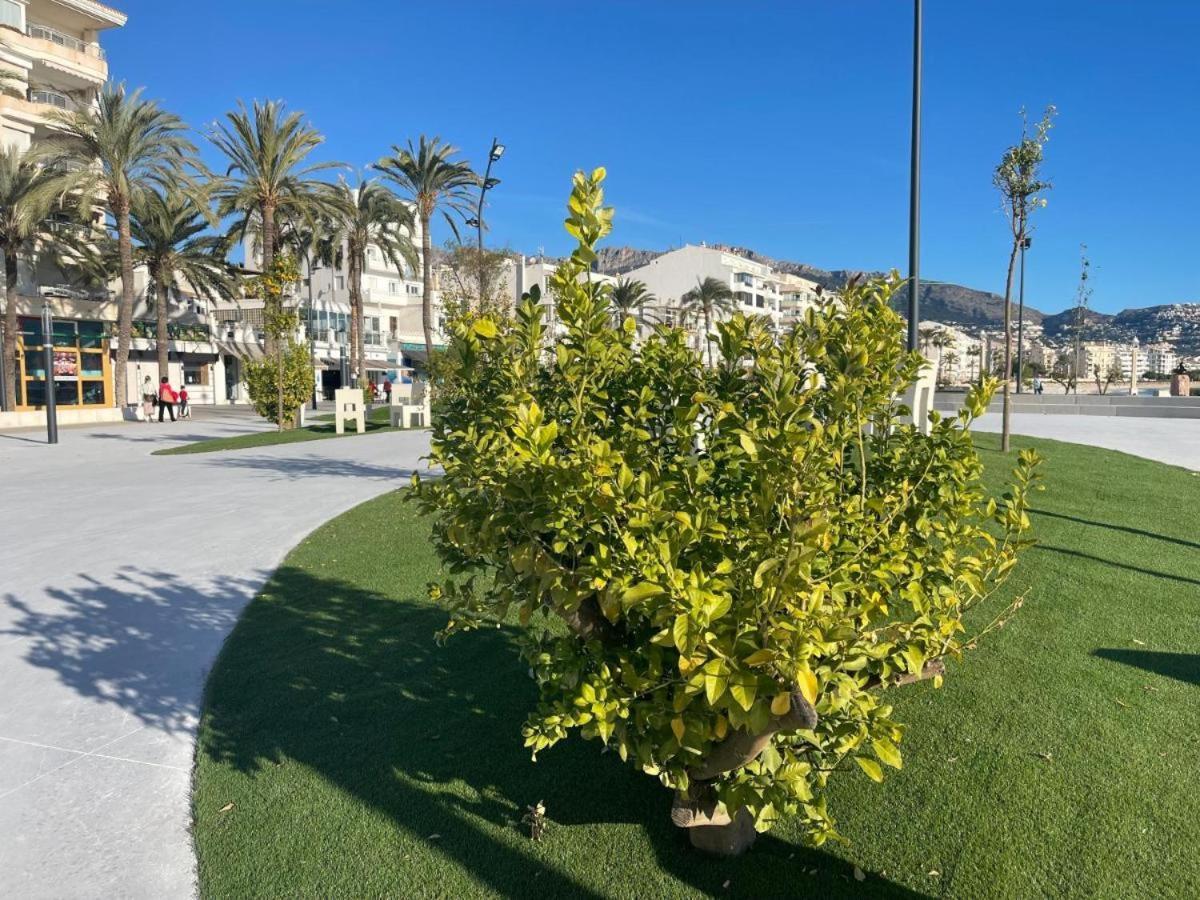 Apartament Altea Group Experience Zewnętrze zdjęcie